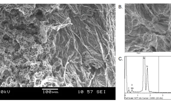 Fig.1: An SEM image of an air-pore (A, right), associated with a region of micro-shrinkage porosity (A, left), alongside with a higher magnification view of the air-pore (B), showing the location that the EDX spectrum (C) was sampled from