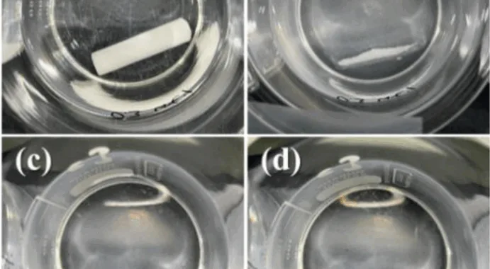 Fig. 5. Water soluble experiments of the KCl-based salt core reinforced by 0.3 wt% glass fiber in room temperature: (a) 0 h, (b) 2 h, (c) 4 h, (d) 6 h.