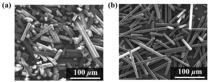 Fig. 1. SEM morphologies of the (a) glass fibers and (b) carbon
fibers.