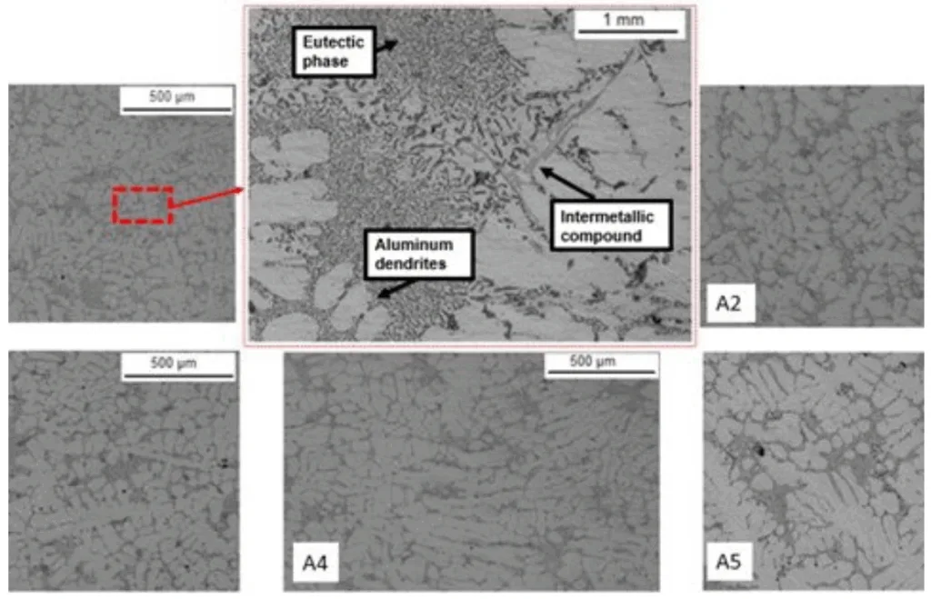 Fig.2 - Microstructure of each as cast sample. The central in-set shows the main microstructural constituents.