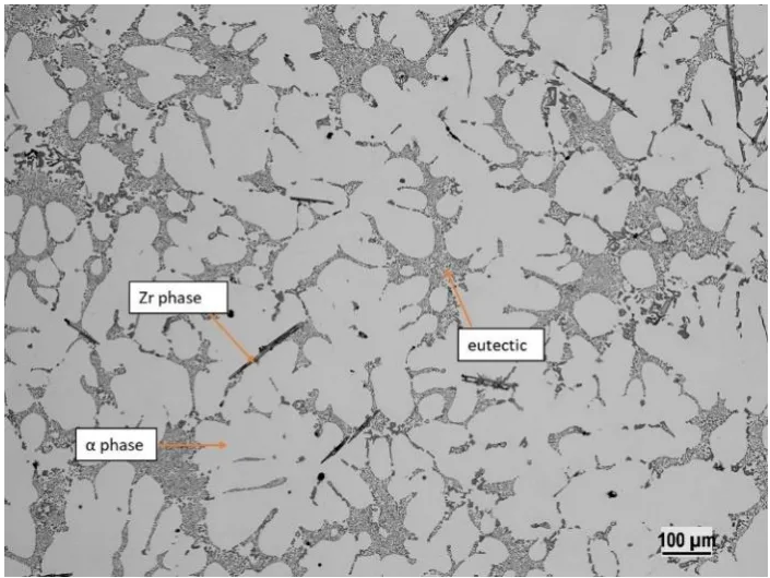 Fig. 3. Microstructure of AlSi7Mg0.3 with 0.2% Zr before HT,  etchant 0.5% HF