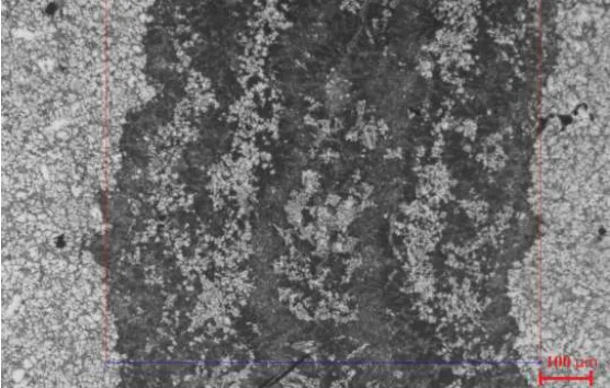 Fig. 2: Optical micrograph of dark area on microscope on a cut sample