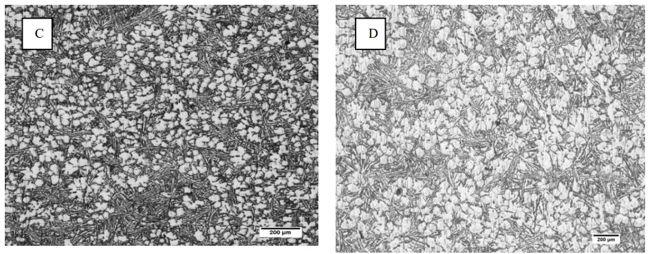 Fig. 5. Micrographs of cooling slope cast samples at constant pouring temperature (585oC) and slope length (500mm): (A) variation in (slope angle); (B) 300 ; (C) 450 ; and (D) 600