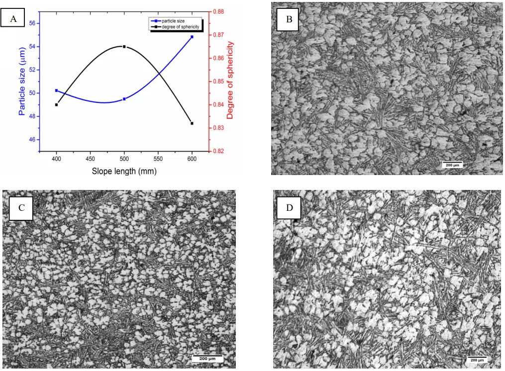 Fig. 6. Microstructure of cooling samples at constant pouring temperature (5850C) and slope angle (450 ): (A) direct effect of processing parameter (slope length); (B) 400mm; (C) 500mm; and (D) 600mm