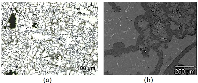 Fig. 3. Microstructure of the representative AlSi12CuNiMg piston obtained by PMC: (a) the dendritic structure (light grey) and eutectic Si particles (dark grey) are shown along with identified porosities (black) and (b) magnesium (Mg) oxide inclusion cluster [unpublished own research]