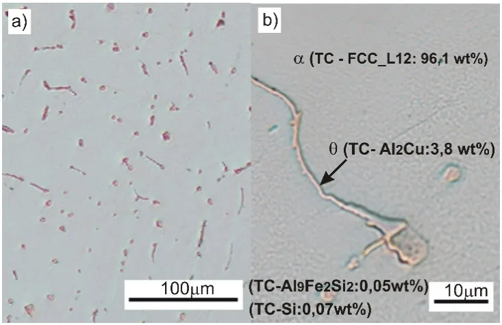 Fig. 5. Microstructure of 1.1 AlCu2Si alloy; with the data of Thermo-Calc; a) 100x; b) 500x