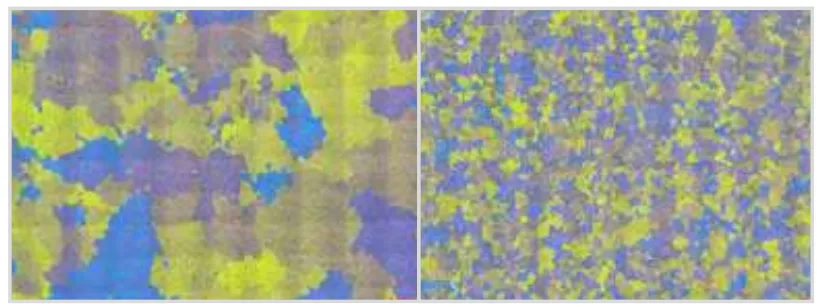 Figure 12: Microstructure before and after treatment with COVERAL MTS
1582.