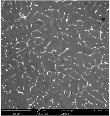Fig. 3. Structure of the ingots cast with an average speed of 30 mm/
min; cross-section (SEM)