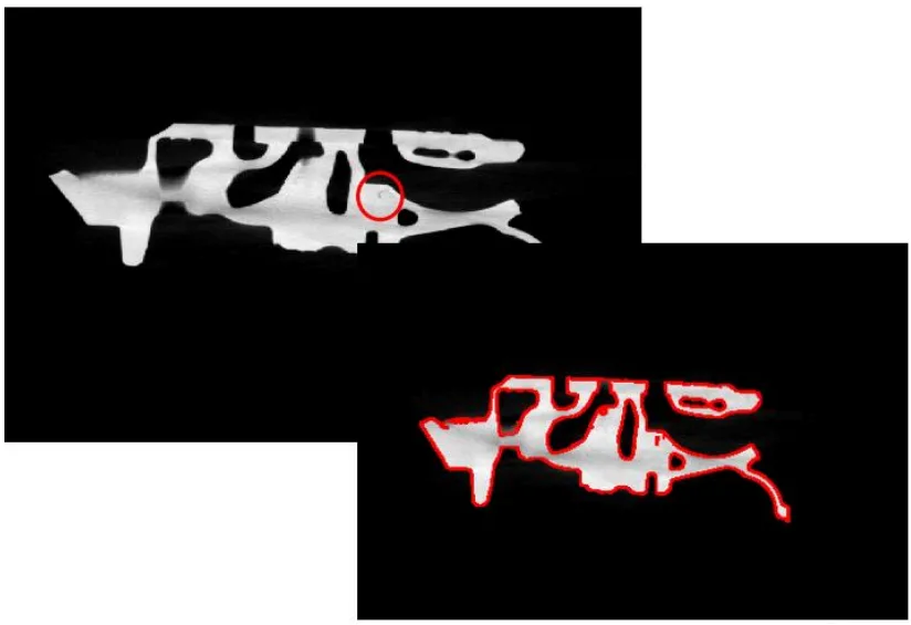 Fig. 2. Tomographic slice Segmentation using the proposed algorithm. 