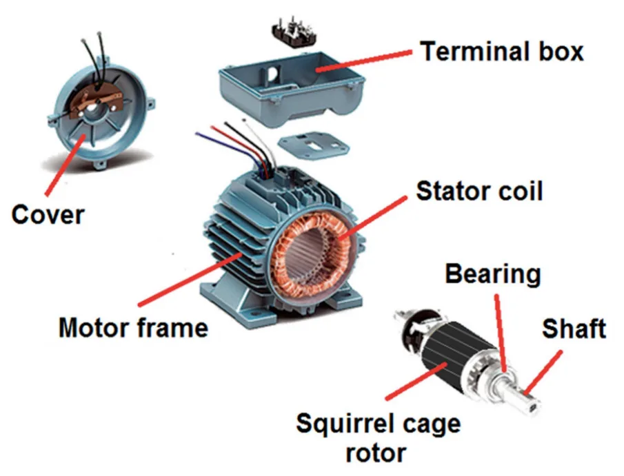 Figure 4. Assembly of induction motor with a squirrel cage rotor.