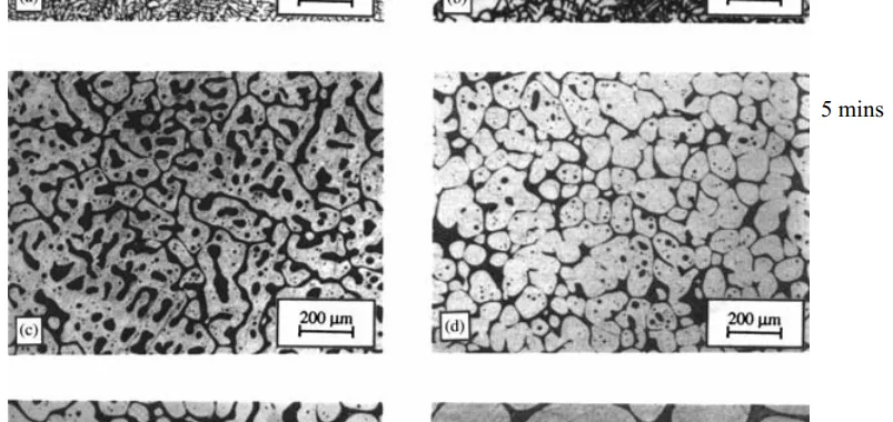 Fig. 3.1 (a, c, e) Conventional casting after 0 min, 5 min, and 15 h soaking, (b, d, f) MHD casting after 0 min, 5 min, and 15 h soaking