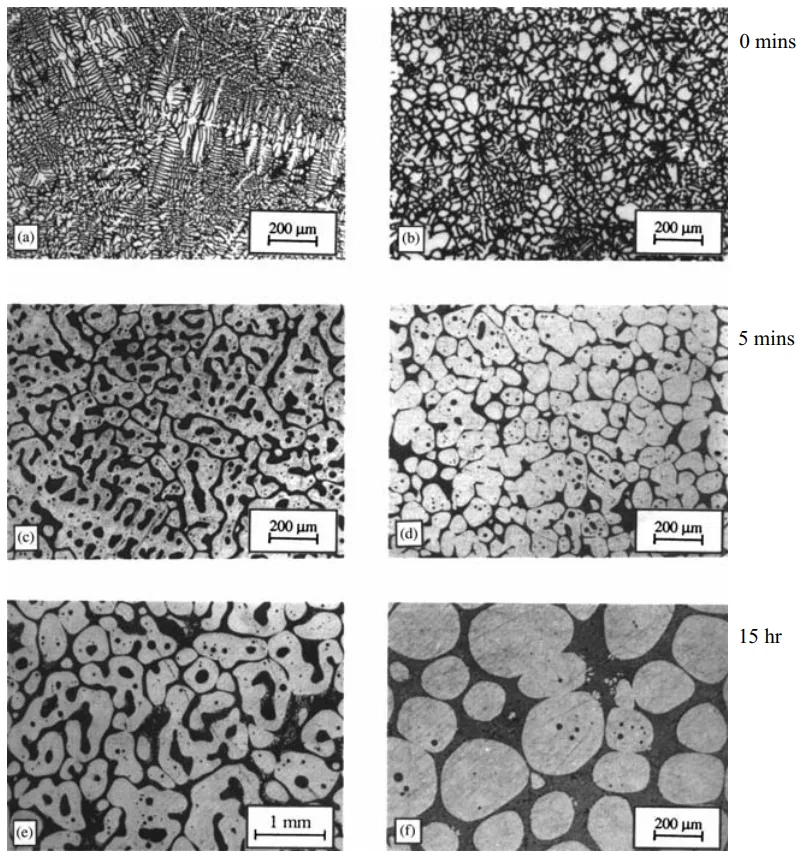 Fig. 3.1 (a, c, e) Conventional casting after 0 min, 5 min, and 15 h soaking, (b, d, f) MHD casting after 0 min, 5 min, and 15 h soaking