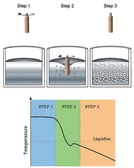 Fig. 4.1 Schematic of the SSR process