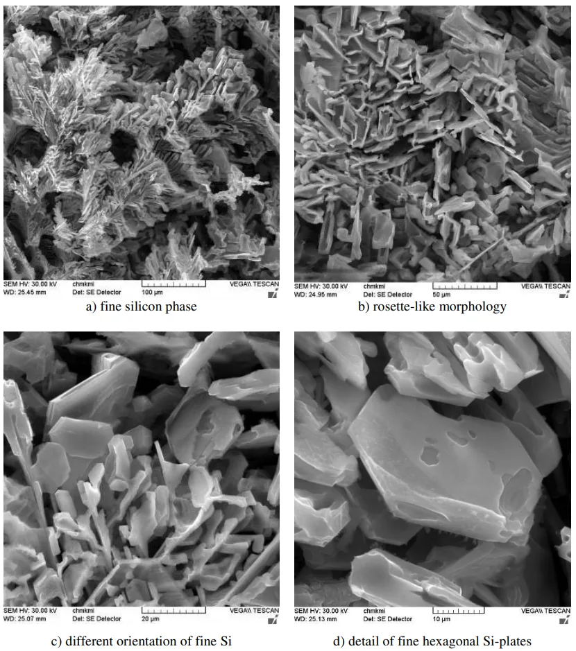 Fig. 3. Morphology of Si particles, deep-etch. HCl, SEM