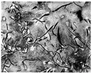 Figure 3: Whitening of cast iron due to the penetration of tellurium.