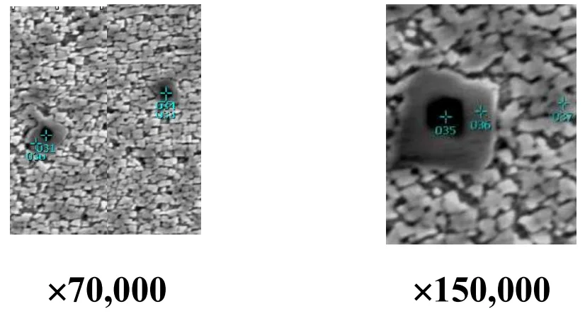 Fig. 2. Structure of the modified GS3 alloy
