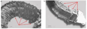 Fig. 5. Cracks on the inner (a) and outer (b) surface of the chip – turning of sintered material