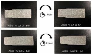Fig.1 - Macrostructures.