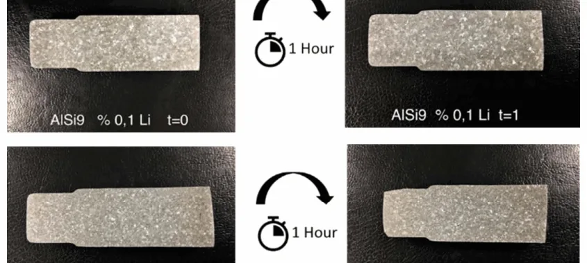 Fig.1 - Macrostructures.