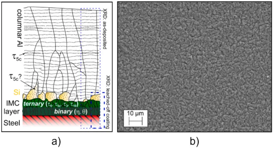 Fig. 1. a) Cross-section scheme of the PVD AlSi columnar grain structure [29] and b) SEM image of the coating surface