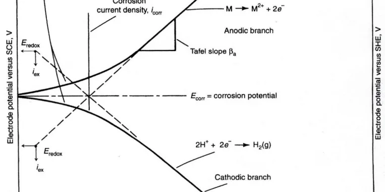 Figure 1: Schematic of a Tafel plot identifying anodic and cathodic branches, and values for corrosion potential (OCP) and corrosion current density.