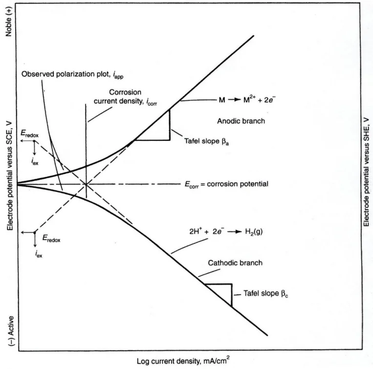 Figure 1: Schematic of a Tafel plot identifying anodic and cathodic branches, and values for corrosion potential (OCP) and corrosion current density.