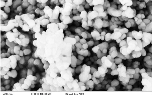 Figure 1. SEM micrograph of nano ZrO2 particles.