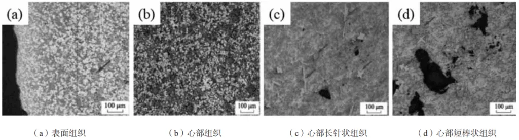 Fig. 6 Comparison of silicon phase modification effect in the microstructures of the surface and core of La metamorphism die-casting aluminum alloy