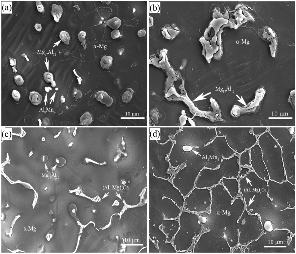 Figure 2: SEM micrographs of the PM AM50 alloy in: (a) skin region, and (b) central region, and the PM AC51 alloy in: (c) central region and the PM AC52 alloy in: (d) central region