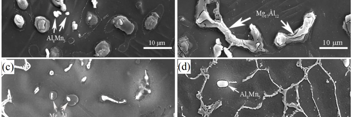 Figure 2: SEM micrographs of the PM AM50 alloy in: (a) skin region, and (b) central region, and the PM AC51 alloy in: (c) central region and the PM AC52 alloy in: (d) central region