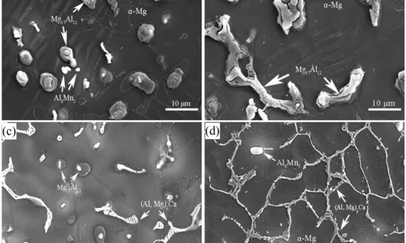 Figure 2: SEM micrographs of the PM AM50 alloy in: (a) skin region, and (b) central region, and the PM AC51 alloy in: (c) central region and the PM AC52 alloy in: (d) central region