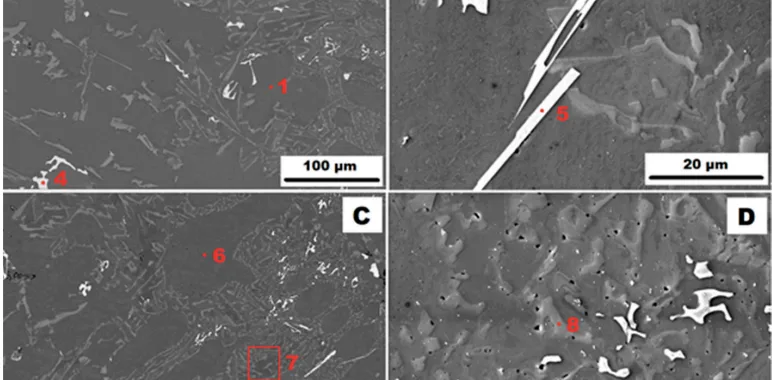 Figure 1. Structure of the AlSi10MnMg alloy cast into a sand mould (GSC): (A)—as-cast condition (HV 10 kV, BSE); (B)—as-cast condition (HV 10 kV, SE); (C)–condition after HT400 (HV 10 kV, BSE); and (D)—condition after HT400 (HV 10 kV, SE).