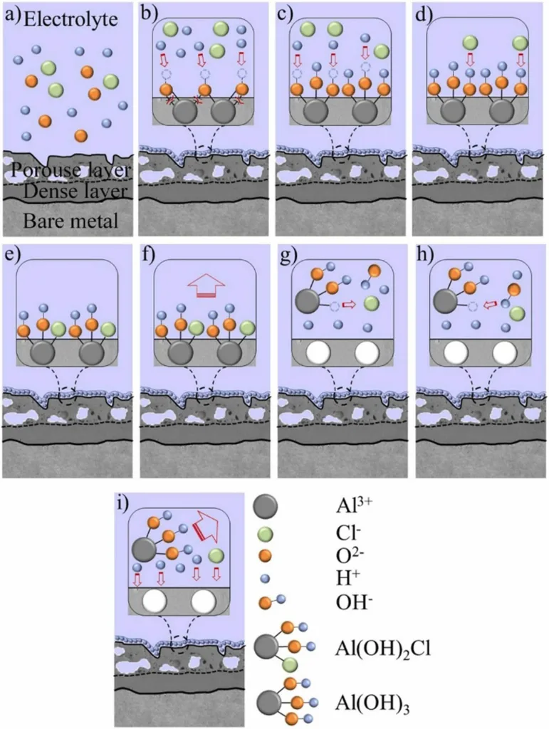 Figure 6
Scheme for the corrosion mechanism of the coating [100].