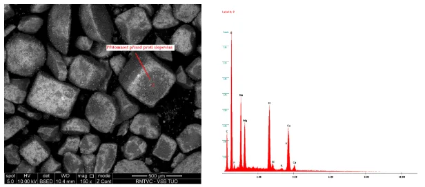 Fig. 4. Regular cubic grains of Alpine salts (samples Nos 3, 4) and EDX analysis confirming the presence of anticaking additives on the salt grain surface (MgCO3, CaCO3)