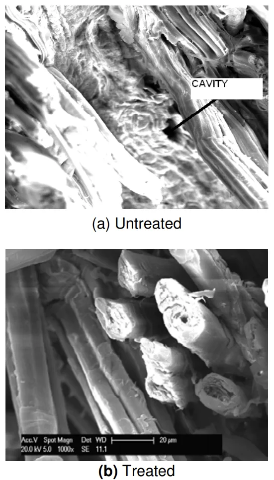 Figure 9: Scanning electron micrograph of (a) untreated and (b) treated flax-PP composites. 