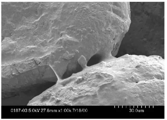 8 Image (SEM) showing formation of bridge between silica sand grains in core, connected with GMBond organic binder