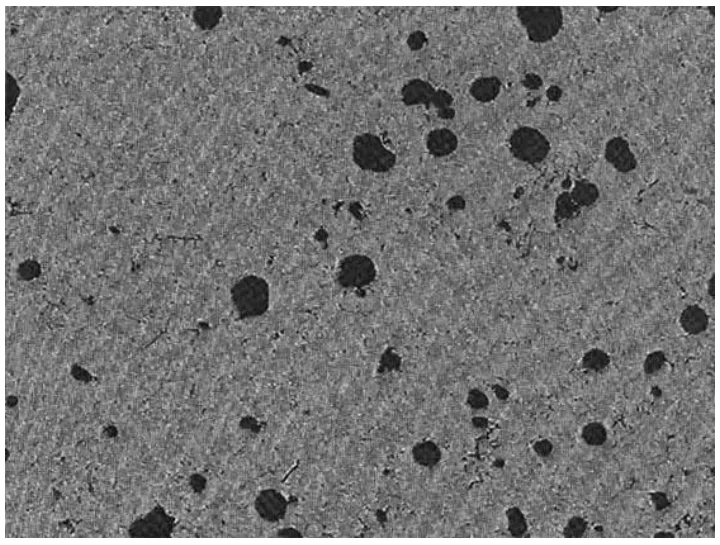 Figure 8: Gas porosity is round with smooth walls