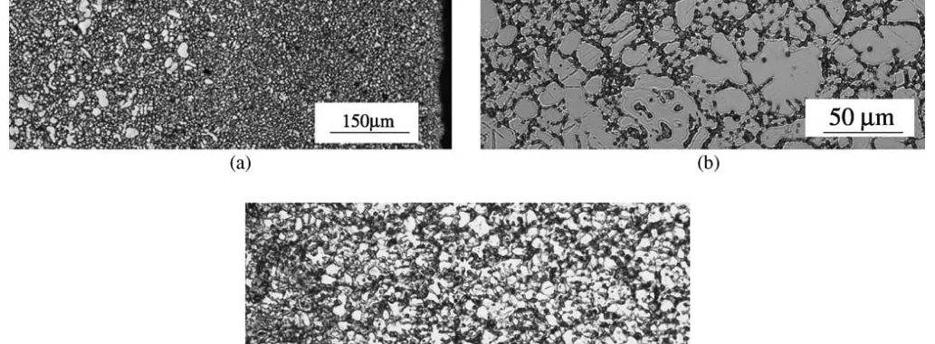 Fig. 1. Microstructure of the AM60 die-casting Mg-alloy: (a) with low magnification picture shows the skin and the interior regions; a high magnification picture of (b) the interior region, and (c) the skin region