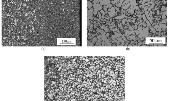 Fig. 1. Microstructure of the AM60 die-casting Mg-alloy: (a) with low magnification picture shows the skin and the interior regions; a high magnification picture of (b) the interior region, and (c) the skin region