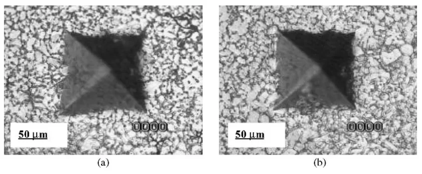 Fig. 2. Micro-indentation markers on the AM60 Mg-alloy at different locations.