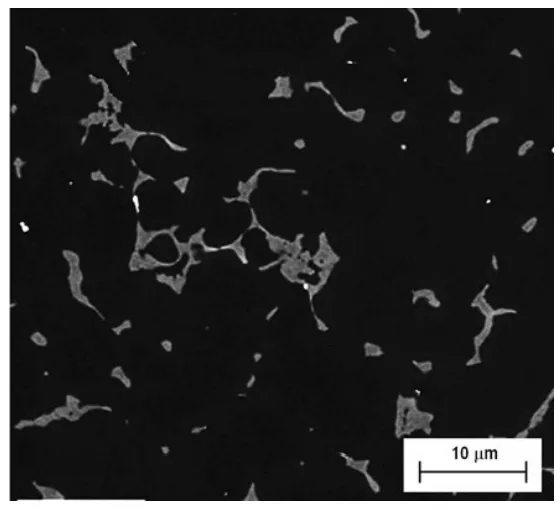 Fig.3 - SEM image of as-cast billet received.