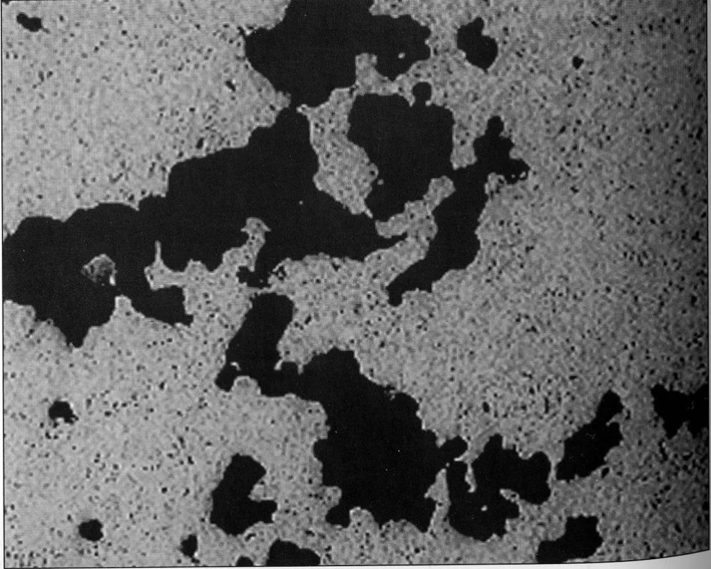 Fig. 1.4 This shows the typical appearance of shrinkage porosity