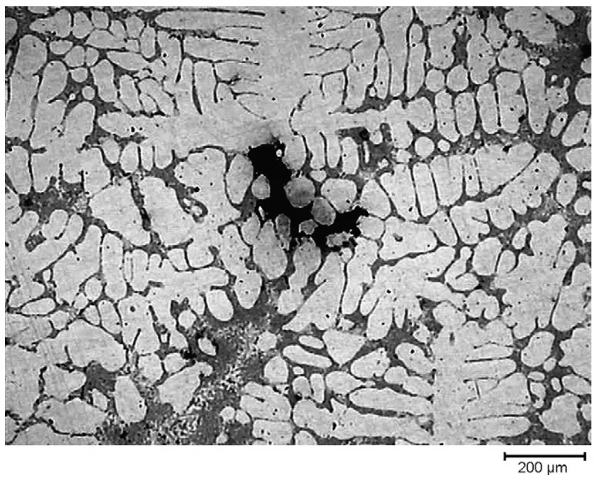 Fig. 3 – Optical micrograph of a shrinkage porosity in the rim zone.