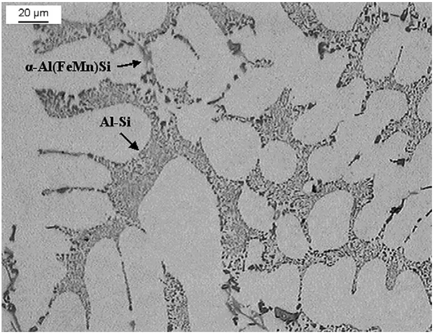 Fig. 4 – Optical micrograph showing secondary phase
particles in rim area of wheel-1. The eutectic silicon is in
the form of fibrous particles in the interdendritic channels.