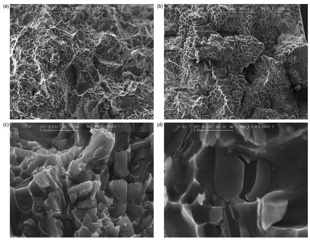 Fig. 11 – Features of the fracture surfaces of the Charpy specimens drawn from the wheels analysed as revealed by SEM. (a) Transcrystalline and ductile fracture from the spoke of wheel-2; (b) interdendritic fracture from the rim of wheel-1; (c) micronecks and dimples from the rim of wheel-1; (d) cleavage fracture in the silicon precipitate from the rim of wheel-3.