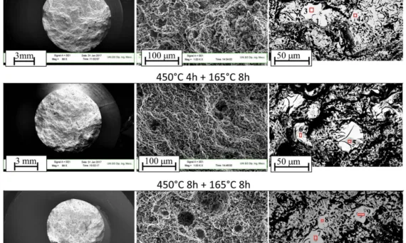 Fig. 7 SEM on the fracture surfaces of the tensile samples