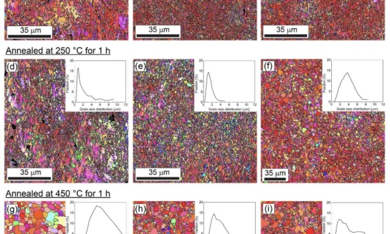 Figure 2. SPN-IPF maps and grain size distributions of HPT-processed: (a) Mg-1.4Nd, (b) Mg-0.6Gd, (c) Mg-0.4Dy, annealed at 250 ◦C for 1 h: (d) Mg-1.4Nd, (e) Mg-0.6Gd, (f) Mg-0.4Dy and annealed at 450 ◦C for 1 h: (g) Mg-1.4Nd, (h) Mg-0.6Gd, and (i) Mg-0.4Dy alloys. The HAGBs are indicated by a black line. SPN denotes the shear plane normal direction.