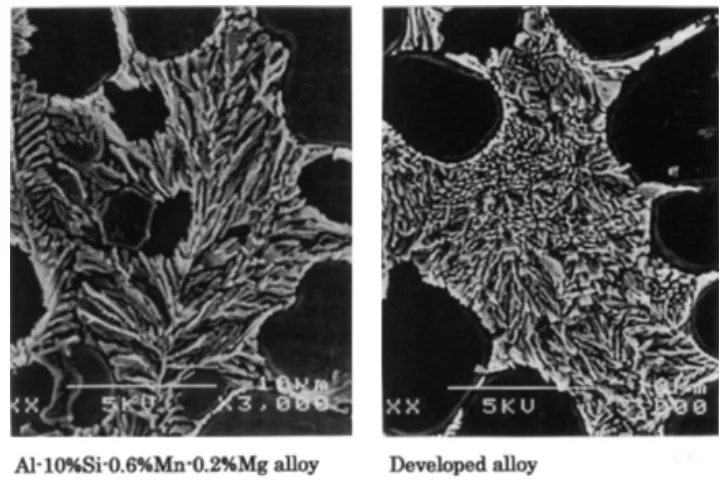 Fig. 6. Scanning electron microstructure of eutectic silicon