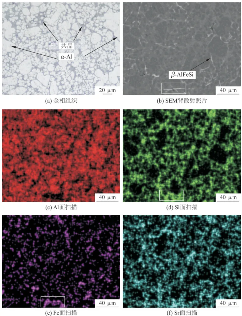 Fig.4 Microstructure and element surface distribution of as-cast