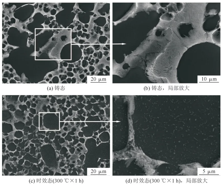 Fig.6 SEM images of as-cast and as-aged alloy specimens